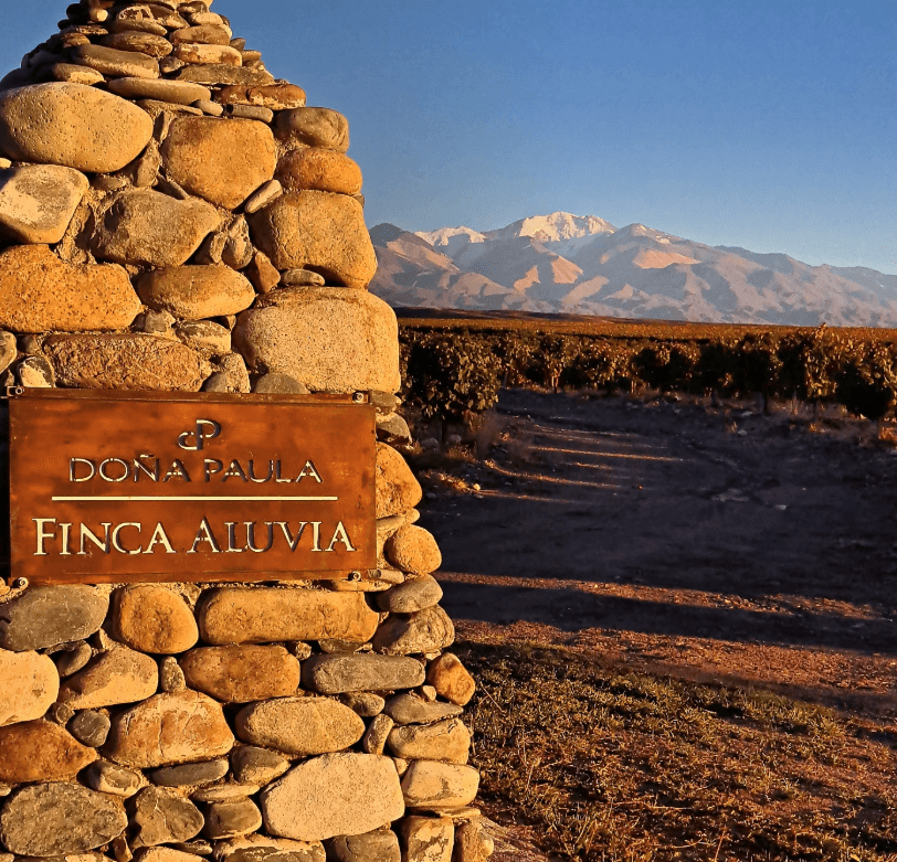 Selección de Bodega ilustra evolução da vinícola Doña Paula e do Malbec argentino 1 | Brazil Economy Com a Cordilheira dos Andes ao fundo, a Finca Aluvia permite à Doña Paula extrair o melhor do terroir de Gualtallary