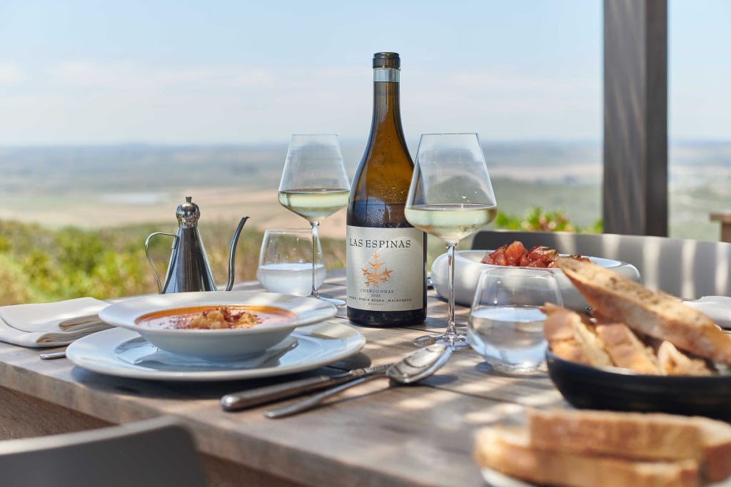 Por meio do programa Punta Wine Trip o Enjoy leva turistas brasileiros para experiências que fogem das tradicionais apostas