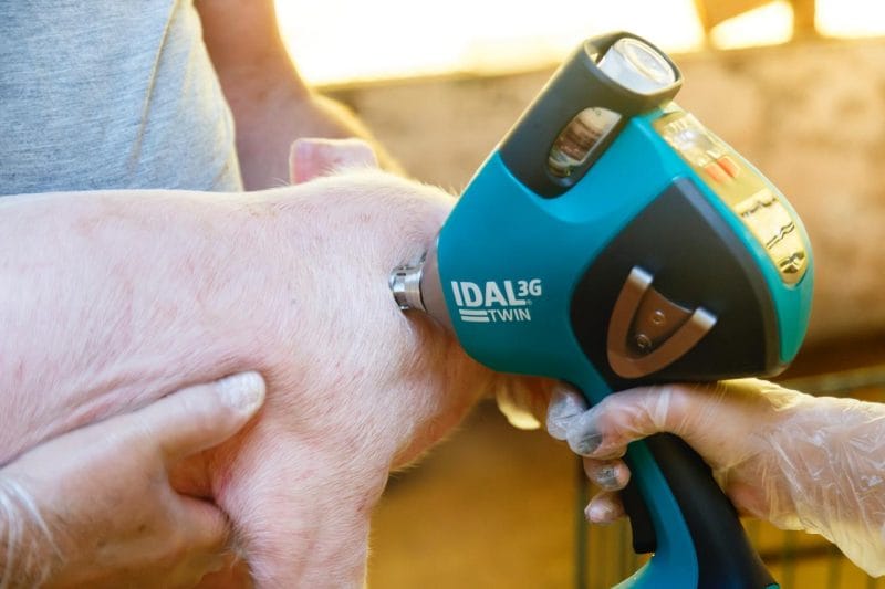 Com forte investimento em inovação, MSD Saúde Animal visa receita de R$ 2 bi no Brasil 2 | Brazil Economy MSD também introduziu no mercado uma vacina sem agulha para suínos