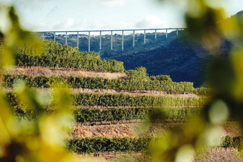 Rubens Menin, bilionário da MRV, injeta mais de € 60 milhões em vinho premium no Douro 4 | Brazil Economy São 53 hectares, com nove de vinhas velhas, o que aumenta nosso total para mais de 200 hectares e mais de 29 de vinhas antigas