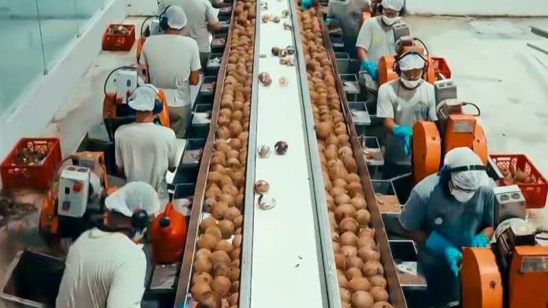 Copra consolida novo parque industrial e mira faturamento de R$ 300 milhões 3 | Brazil Economy Reestruturação das fábricas vai dobrar a capacidade de produção da Copra