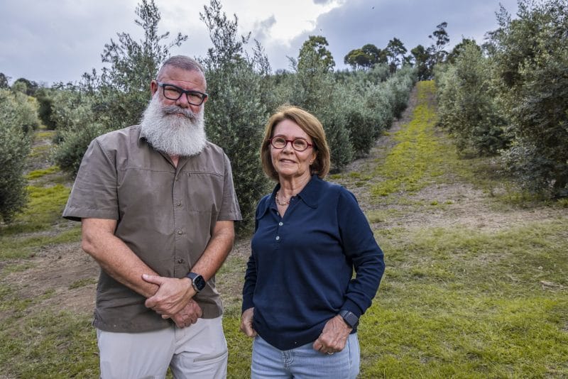 Azeite Sabiá expande experiência sensorial e lança pizzaria com conceito imersivo 2 | Brazil Economy Os fundadores do Azeite Sabiá, Bob Vieira da Costa e Bia Pereira
