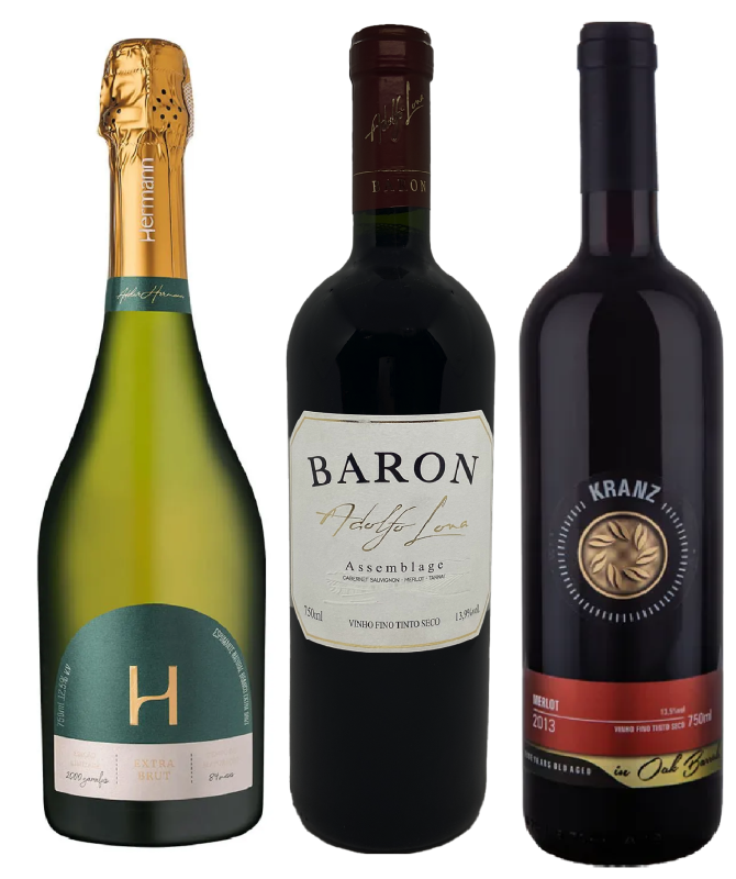 Com 94 pontos, o espumante Hermann Extra-Brut 84 meses teve a nota mais alta da categoria. Dois tintos receberam 95 pontos: Baron Assemblage, de Adolfo Lona, e Kranz Merlot 2013
