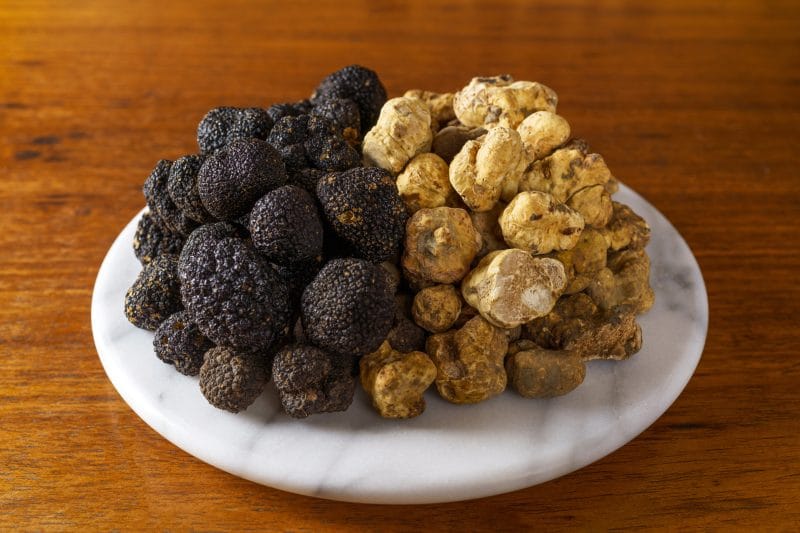 Trufas: o diamante europeu da gastronomia que conquista novos adeptos no Brasil 2 | Brazil Economy Originárias de regiões específicas da Europa, elas encontram nas florestas de clima mediterrâneo e solo calcário as condições ideais para se desenvolver