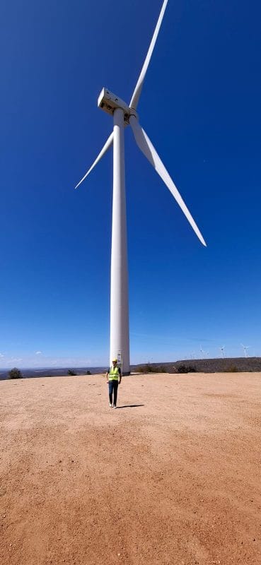 Em transformação, Auren Energia dobra receita e investe R$ 5,3 bilhões desde 2021 3 | Brazil Economy São 452 aerogeradores, as famosas turbinas de vento, de 80 a 120 metros de altura