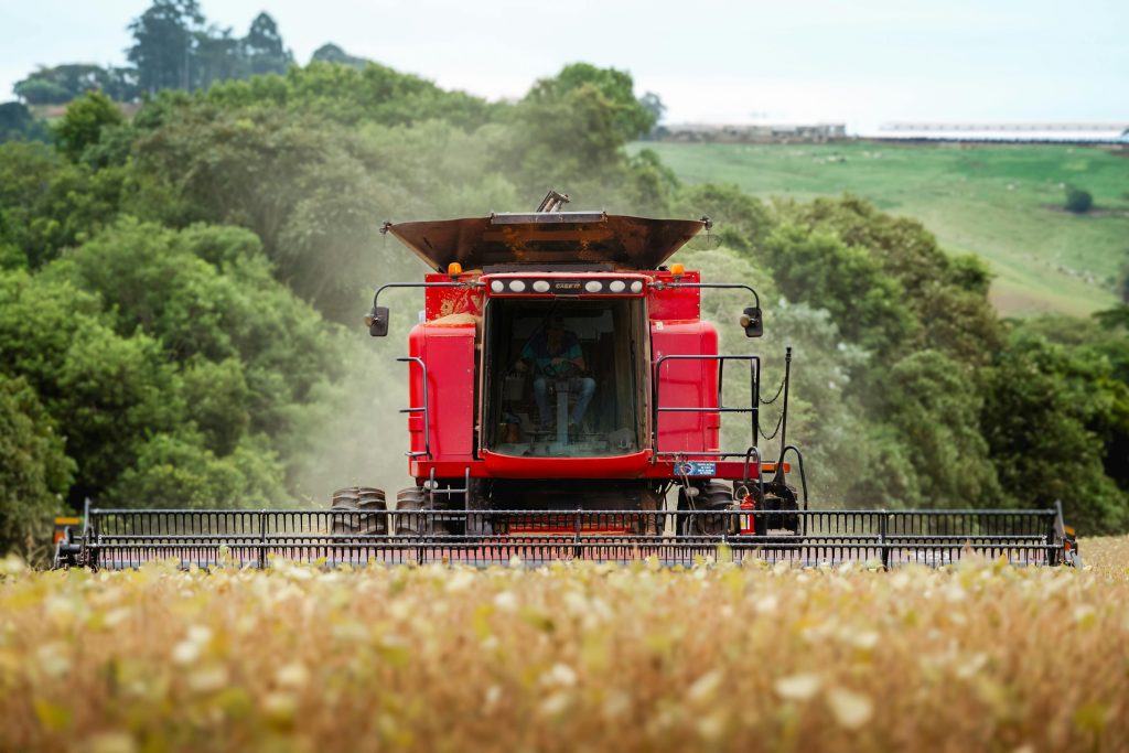Enquanto a equipe jurídica trabalha na formatação do plano, as operações agrícolas e pecuárias seguem em ritmo normal
