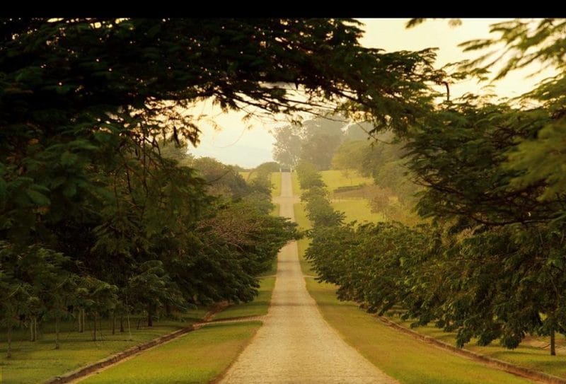 Haras Larissa avança para terceira fase com campo de golfe e consolida conceito de luxo 3 | Brazil Economy O crescimento desse mercado reflete uma mudança de comportamento: o desejo de viver fora dos centros urbanos
