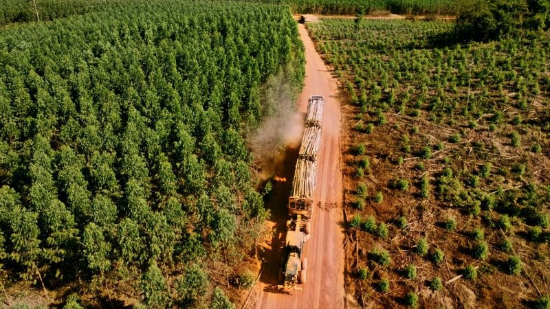 Juros altos? Unidas Pesados vê oportunidade para crescer diante de economia desafiadora 3 | Brazil Economy Unidas Pesados cresce em serviços de manutenção e oferta de recursos humanos no transporte de cana e madeira, mineração e saneamento