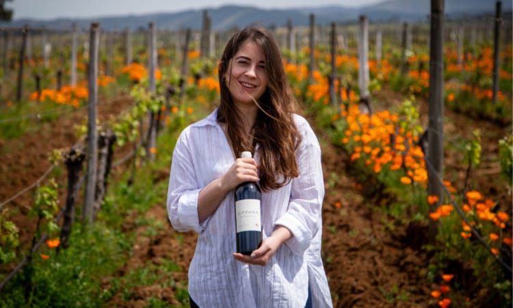 Uma vinícola que combina espírito norueguês com territórios chilenos 2 | Brazil Economy A enóloga Francisca Palacios, que desde 2016 é responsável pelos vinhos Odfjell Orzada