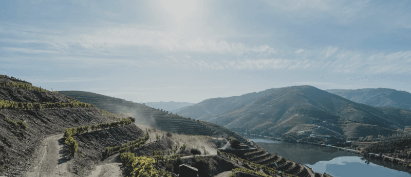 A paisagem do Rio Douro, em Portugal, reconhecida como Patrimônio Mundial pela Unesco, que encantou o empresário de Minas Gerais
