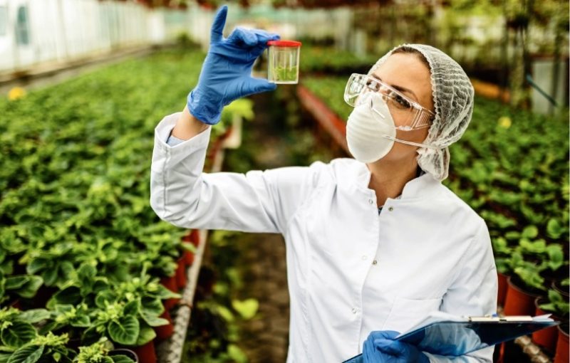 Com os investimentos do grupo indiano, Brasil vai se tornar um hub de pesquisa e de negócios