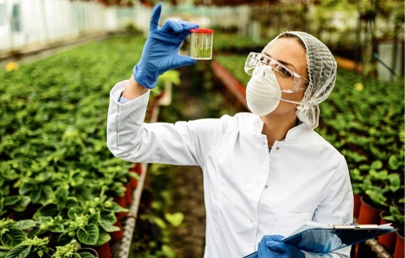 Com os investimentos do grupo indiano, Brasil vai se tornar um hub de pesquisa e de negócios