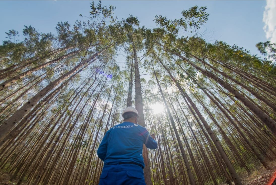 WhatsApp Image 2026 01 04 at 13.46.03 | Brazil Economy